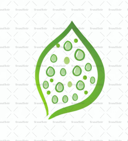 Tautropfen auf einem Blatt